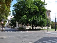 Palača HAZU 2011. godine